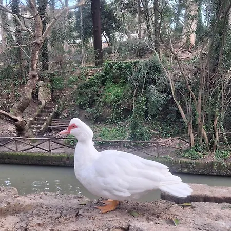 Appartement Rodini Ylia - Maisonette With Yard