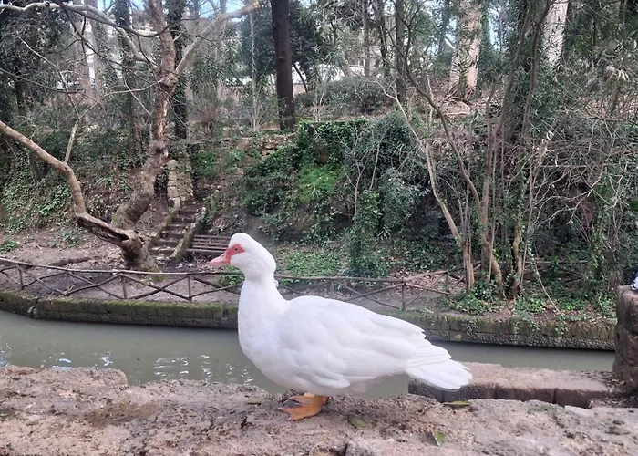 Appartement Rodini Ylia - Maisonette With Yard